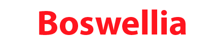 logotype